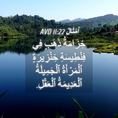 Picture 04 - أَمْثَالٌ 11:22 AVD - خِزَامَةُ ذَهَبٍ فِي - Bible Verse Picture