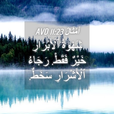 Picture 04 - أَمْثَالٌ 11:23 AVD - شَهْوَةُ ٱلْأَبْرَارِ - Bible Verse Picture