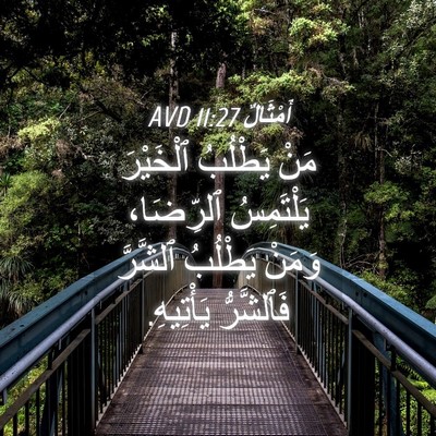 Picture 04 - أَمْثَالٌ 11:27 AVD - مَنْ يَطْلُبُ ٱلْخَيْرَ - Bible Verse Picture