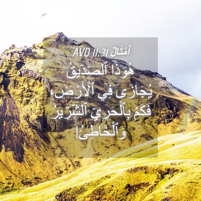 Picture 04 - أَمْثَالٌ 11:31 AVD - هُوَذَا ٱلصِّدِّيقُ - Bible Verse Picture