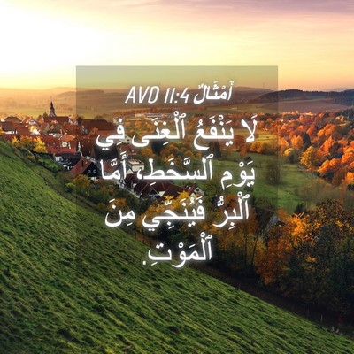 Picture 04 - أَمْثَالٌ 11:4 AVD - لَا يَنْفَعُ ٱلْغِنَى فِي - Bible Verse Picture