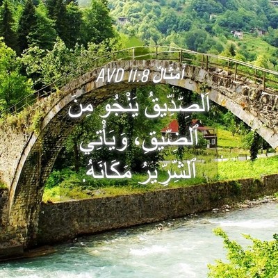 Picture 04 - أَمْثَالٌ 11:8 AVD - اَلصِّدِّيقُ يَنْجُو مِنَ - Bible Verse Picture