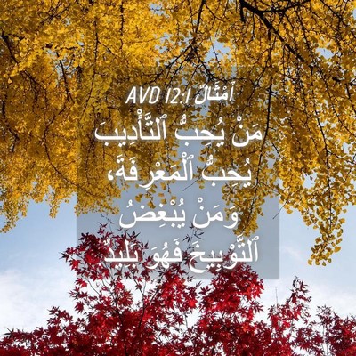 Picture 04 - أَمْثَالٌ 12:1 AVD - مَنْ يُحِبُّ ٱلتَّأْدِيبَ - Bible Verse Picture