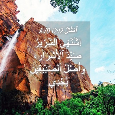 Picture 04 - أَمْثَالٌ 12:12 AVD - اِشْتَهَى ٱلشِّرِّيرُ - Bible Verse Picture