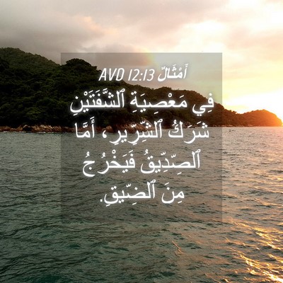 Picture 04 - أَمْثَالٌ 12:13 AVD - فِي مَعْصِيَةِ - Bible Verse Picture