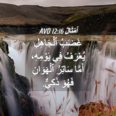 Picture 04 - أَمْثَالٌ 12:16 AVD - غَضَبُ ٱلْجَاهِلِ - Bible Verse Picture