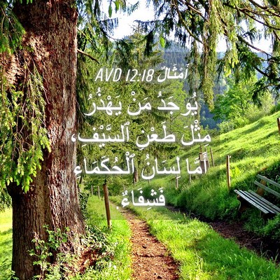 Picture 04 - أَمْثَالٌ 12:18 AVD - يُوجَدُ مَنْ يَهْذُرُ - Bible Verse Picture