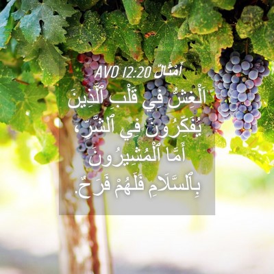 Picture 04 - أَمْثَالٌ 12:20 AVD - اَلْغِشُّ فِي قَلْبِ - Bible Verse Picture