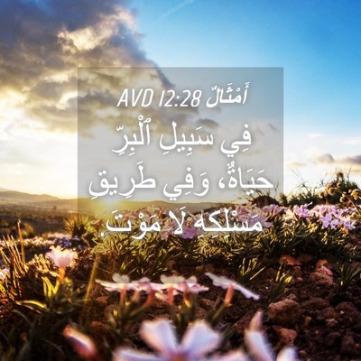 Picture 04 - أَمْثَالٌ 12:28 AVD - فِي سَبِيلِ ٱلْبِرِّ - Bible Verse Picture