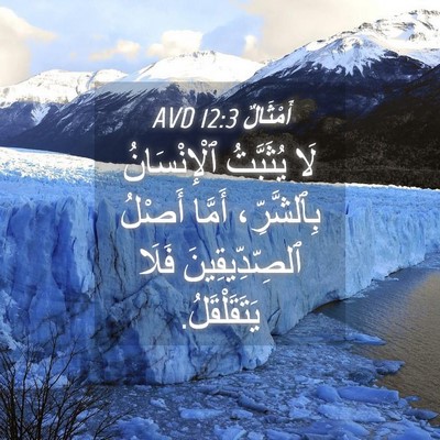 Picture 04 - أَمْثَالٌ 12:3 AVD - لَا يُثَبَّتُ - Bible Verse Picture
