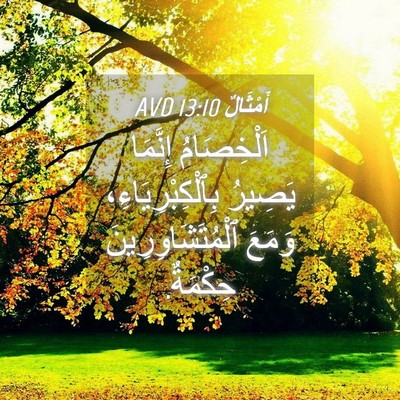 Picture 04 - أَمْثَالٌ 13:10 AVD - اَلْخِصَامُ إِنَّمَا - Bible Verse Picture