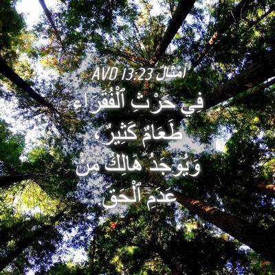 Picture 04 - أَمْثَالٌ 13:23 AVD - فِي حَرْثِ ٱلْفُقَرَاءِ - Bible Verse Picture