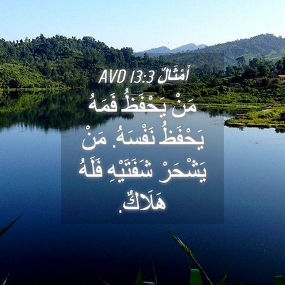 Picture 04 - أَمْثَالٌ 13:3 AVD - مَنْ يَحْفَظُ فَمَهُ - Bible Verse Picture