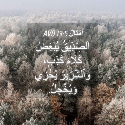 Picture 04 - أَمْثَالٌ 13:5 AVD - اَلصِّدِّيقُ يُبْغِضُ - Bible Verse Picture