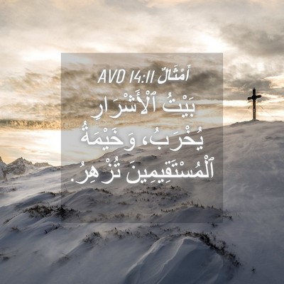 Picture 04 - أَمْثَالٌ 14:11 AVD - بَيْتُ ٱلْأَشْرَارِ - Bible Verse Picture