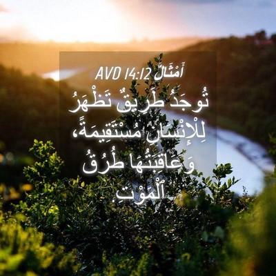 Picture 04 - أَمْثَالٌ 14:12 AVD - تُوجَدُ طَرِيقٌ تَظْهَرُ - Bible Verse Picture
