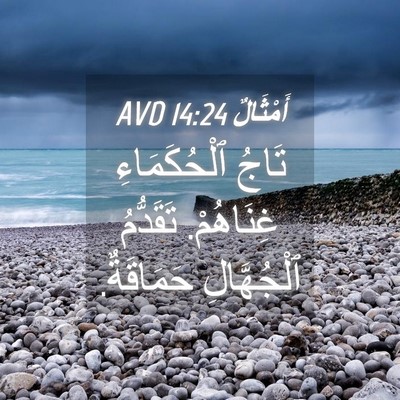 Picture 04 - أَمْثَالٌ 14:24 AVD - تَاجُ ٱلْحُكَمَاءِ - Bible Verse Picture