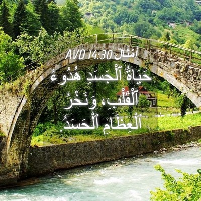 Picture 04 - أَمْثَالٌ 14:30 AVD - حَيَاةُ ٱلْجَسَدِ هُدُوءُ - Bible Verse Picture