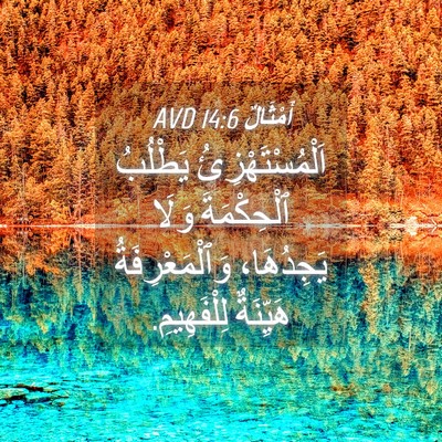 Picture 04 - أَمْثَالٌ 14:6 AVD - اَلْمُسْتَهْزِئُ يَطْلُبُ - Bible Verse Picture