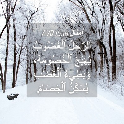 Picture 04 - أَمْثَالٌ 15:18 AVD - اَلرَّجُلُ ٱلْغَضُوبُ - Bible Verse Picture
