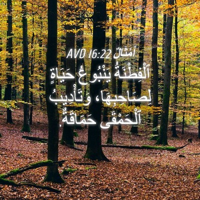 Picture 04 - أَمْثَالٌ 16:22 AVD - ٱلْفِطْنَةُ يَنْبُوعُ - Bible Verse Picture