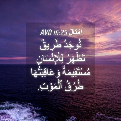 Picture 04 - أَمْثَالٌ 16:25 AVD - تُوجَدُ طَرِيقٌ تَظْهَرُ - Bible Verse Picture