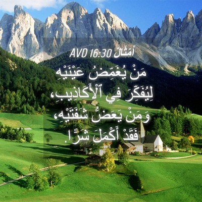 Picture 04 - أَمْثَالٌ 16:30 AVD - مَنْ يُغَمِّضُ عَيْنَيْهِ - Bible Verse Picture
