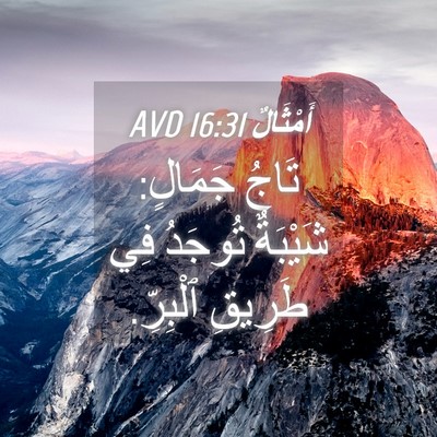 Picture 04 - أَمْثَالٌ 16:31 AVD - تَاجُ جَمَالٍ: شَيْبَةٌ - Bible Verse Picture