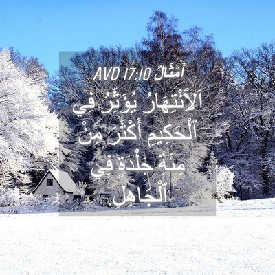 Picture 04 - أَمْثَالٌ 17:10 AVD - اَلِٱنْتِهَارُ يُؤَثِّرُ - Bible Verse Picture