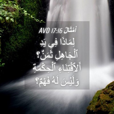 Picture 04 - أَمْثَالٌ 17:16 AVD - لِمَاذَا فِي يَدِ - Bible Verse Picture