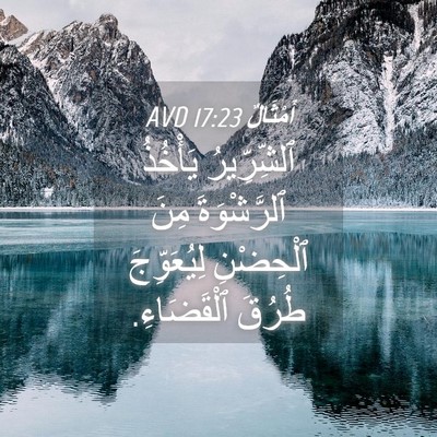 Picture 04 - أَمْثَالٌ 17:23 AVD - ٱلشِّرِّيرُ يَأْخُذُ - Bible Verse Picture