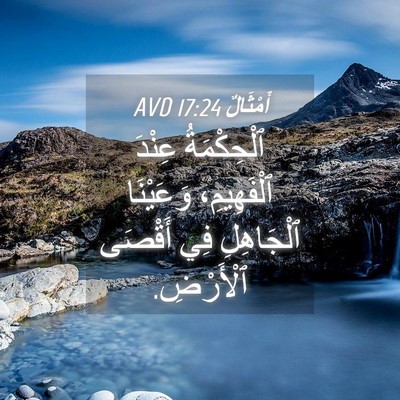 Picture 04 - أَمْثَالٌ 17:24 AVD - ٱلْحِكْمَةُ عِنْدَ - Bible Verse Picture