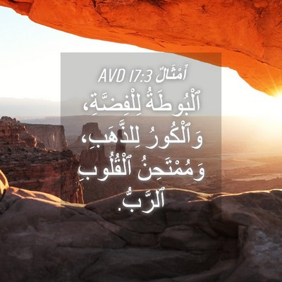 Picture 04 - أَمْثَالٌ 17:3 AVD - ٱلْبُوطَةُ لِلْفِضَّةِ، - Bible Verse Picture