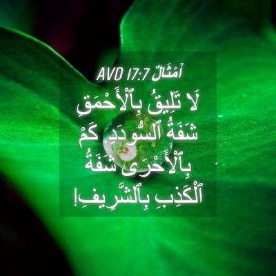 Picture 04 - أَمْثَالٌ 17:7 AVD - لَا تَلِيقُ بِٱلْأَحْمَقِ - Bible Verse Picture