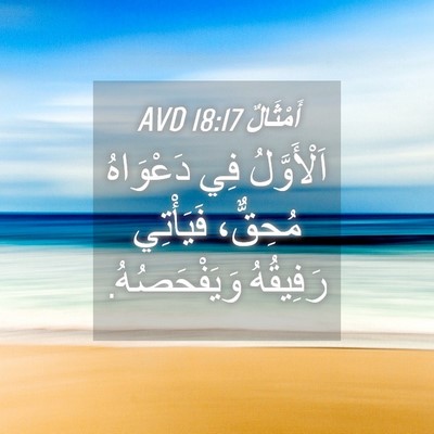 Picture 04 - أَمْثَالٌ 18:17 AVD - اَلْأَوَّلُ فِي دَعْوَاهُ - Bible Verse Picture