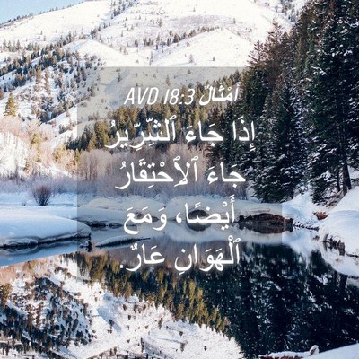 Picture 04 - أَمْثَالٌ 18:3 AVD - إِذَا جَاءَ ٱلشِّرِّيرُ - Bible Verse Picture