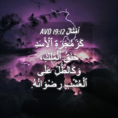 Picture 04 - أَمْثَالٌ 19:12 AVD - كَزَمْجَرَةِ ٱلْأَسَدِ - Bible Verse Picture