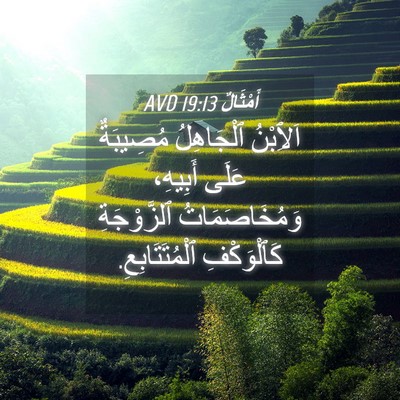 Picture 04 - أَمْثَالٌ 19:13 AVD - اَلِٱبْنُ ٱلْجَاهِلُ - Bible Verse Picture