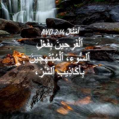 Picture 04 - أَمْثَالٌ 2:14 AVD - ٱلْفَرِحِينَ بِفَعْلِ - Bible Verse Picture
