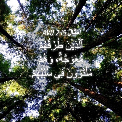 Picture 04 - أَمْثَالٌ 2:15 AVD - ٱلَّذِينَ طُرُقُهُمْ - Bible Verse Picture