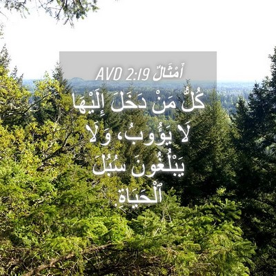 Picture 04 - أَمْثَالٌ 2:19 AVD - كُلُّ مَنْ دَخَلَ - Bible Verse Picture