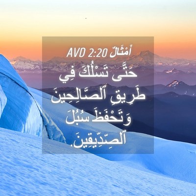 Picture 04 - أَمْثَالٌ 2:20 AVD - حَتَّى تَسْلُكَ فِي - Bible Verse Picture