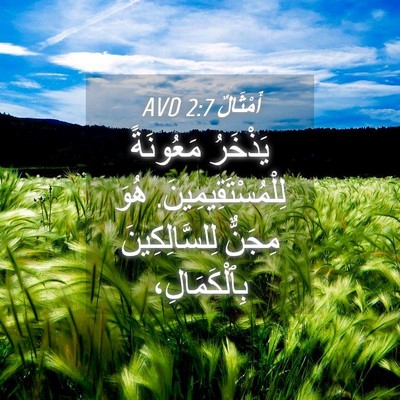 Picture 04 - أَمْثَالٌ 2:7 AVD - يَذْخَرُ مَعُونَةً - Bible Verse Picture
