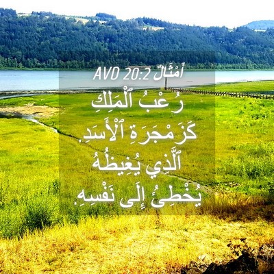 Picture 04 - أَمْثَالٌ 20:2 AVD - رُعْبُ ٱلْمَلِكِ - Bible Verse Picture