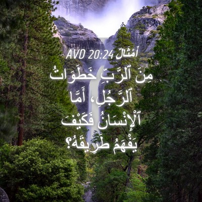 Picture 04 - أَمْثَالٌ 20:24 AVD - مِنَ ٱلرَّبِّ خَطَوَاتُ - Bible Verse Picture