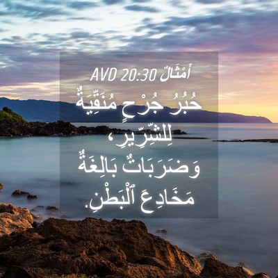 Picture 04 - أَمْثَالٌ 20:30 AVD - حُبُرُ جُرْحٍ مُنَقِّيَةٌ - Bible Verse Picture