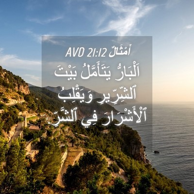 Picture 04 - أَمْثَالٌ 21:12 AVD - اَلْبَارُّ يَتَأَمَّلُ - Bible Verse Picture