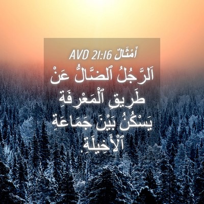 Picture 04 - أَمْثَالٌ 21:16 AVD - اَلرَّجُلُ ٱلضَّالُّ عَنْ - Bible Verse Picture
