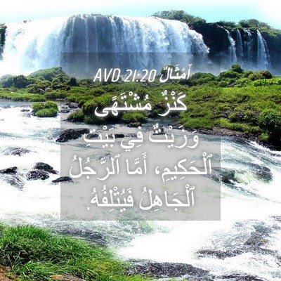 Picture 04 - أَمْثَالٌ 21:20 AVD - كَنْزٌ مُشْتَهًى وَزَيْتٌ - Bible Verse Picture