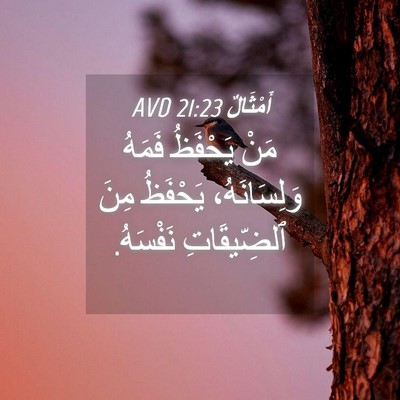 Picture 04 - أَمْثَالٌ 21:23 AVD - مَنْ يَحْفَظُ فَمَهُ - Bible Verse Picture
